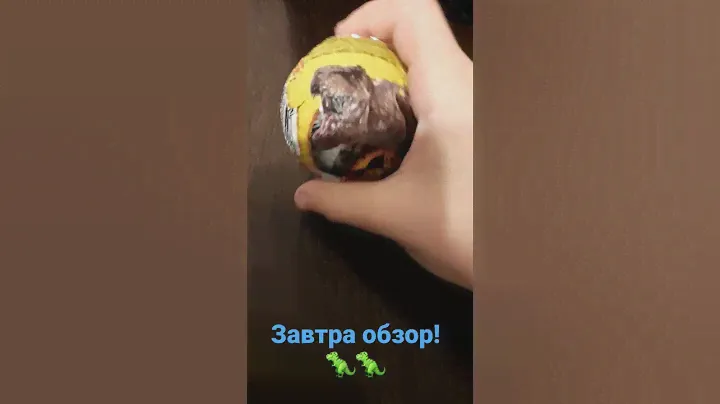 чюпа чюпс# динозавры игрушки 🦖🦖👍👍🔥💞