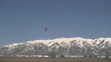 align trex 600 nitro (engine tuneing and 3d flying)