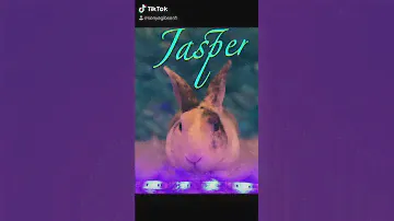 Blue eye ( mini rex ) bunny rabbit photoshoot RBF Rainbow farm rabbitry
