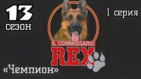 Комиссар Рекс, 13 сезон, 1 серия «Чемпион»