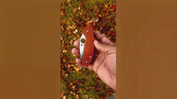Sage 5 Burnt Orange In Rex 121! 🍂 #sunday #spyderco #sage5 #rex121 #peezyorpj