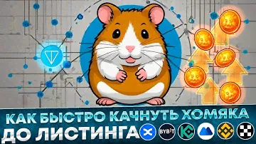 🔥 КАК БЫСТРО ПРОКАЧАТЬ ХОМЯКА ДО ЛИСТИНГА И ПОЛУЧИТЬ ДРОП ПОКА НЕ ПОЗДНО | HAMSTER KOMBAT | ТАКТИКА