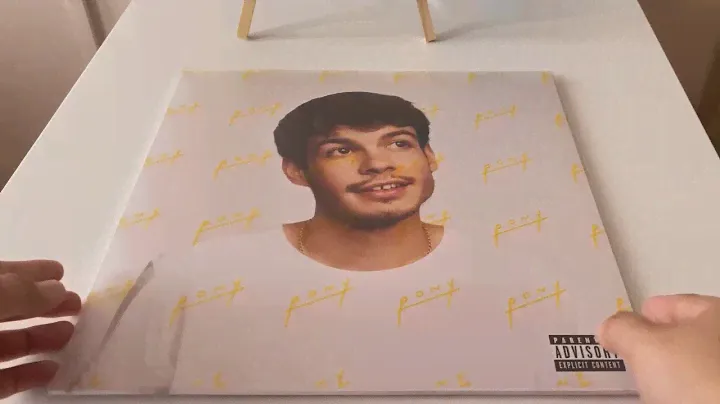 #vinyl - Rex Orange County (Pony)
