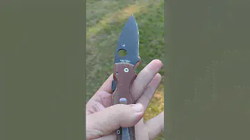 MICARTA MONDAY  SPYDERCO SHAMAN