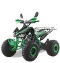 Подростковый квадроцикл MOTAX ATV T-Rex Super LUX 125
