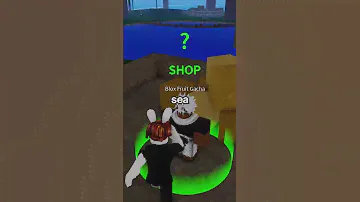 Blox Fruits has a CRAZY Secret...