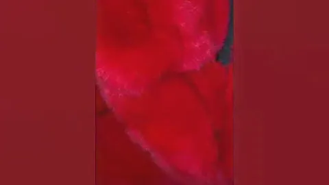 Шуба из меха кролика Рекс