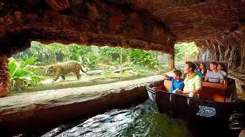 Singapore River Safari Amazon River Quest | Singapore Zoo | 2018