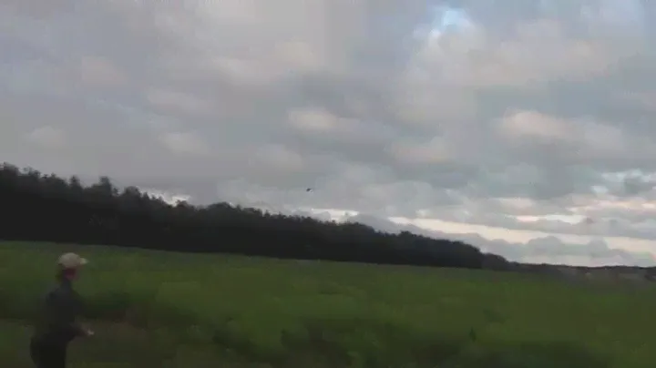 align t-rex 500 speed test :-)