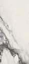 Etoile de REX Renoir Glossy 60x120х10