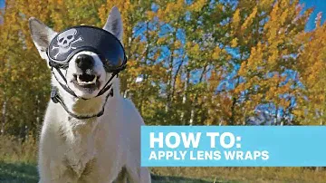 How To: Apply Rex Specs Dog Goggle Lens Wraps
