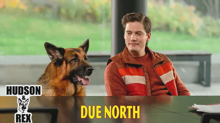 Hudson and Rex New 2024 🦮🦮 Due North 🦮🦮 Best American Police Procedural Drama 2024