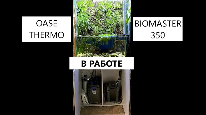 Устанавливаем OASE BIOMASTER  350 на аквариум с апельсиновыми лампрологусами(Neolamprologus leleupi)