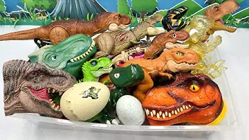 Dinosaur Tyrannosaurus Rex Box! T-Rex Head Robot Eggs  티라노사우루스 공룡