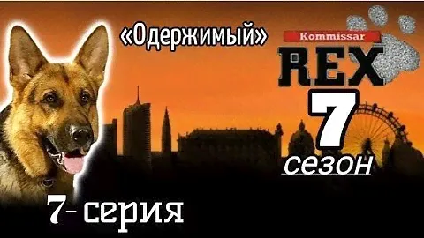 Комиссар рекс, 7 сезон, 7 серия «Одержимый»