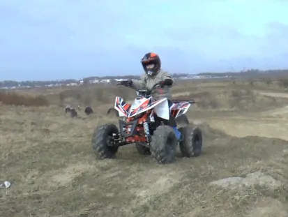 Квадроцикл Motax ATV T-Rex LUX 125 в Новосибирске-1