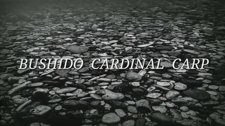 Удилище карповое  BUSHIDO   CARDINAL CARP