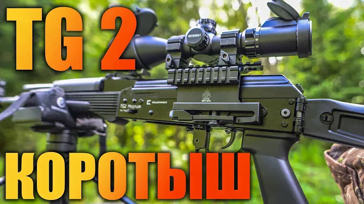 РАСПАКОВКА TG2 исп.03 КОРОТКИЙ СТВОЛ 341мм / КАЛИБР 366ТКМ