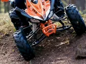 Квадроцикл Motax ATV T-Rex Super LUX 125 в Новосибирске