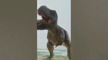 The Meg Vs. T-Rex