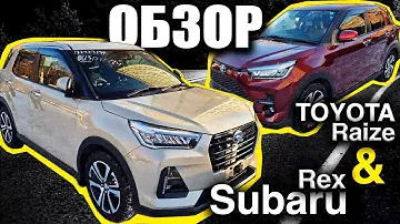 обзор Toyota Raize & Subaru Rex. Привезли для клиента