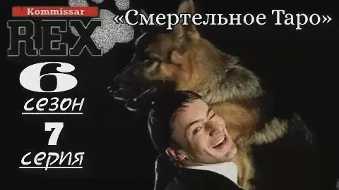 Комиссар Рекс, 6 сезон, 7 серия «Смертельное Таро»