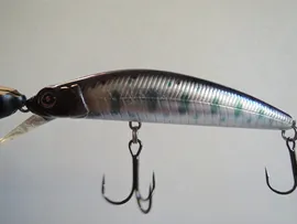 Saurus CD Rex 85 S