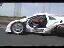 Campagna T-Rex Aero 3S  WWW.AERO3S.COM