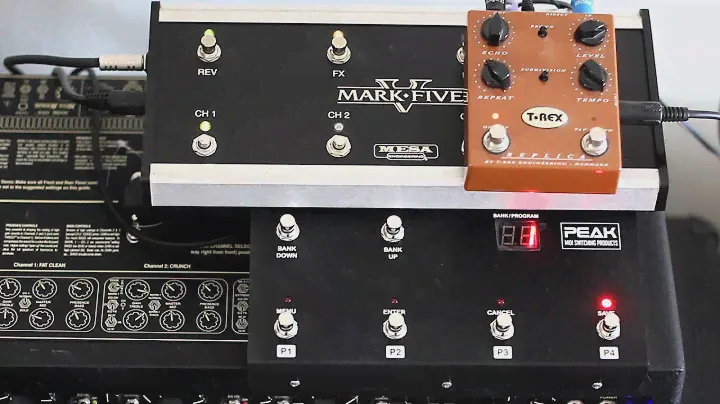 PEAK FCB4N2 with T-Rex Replica Delay