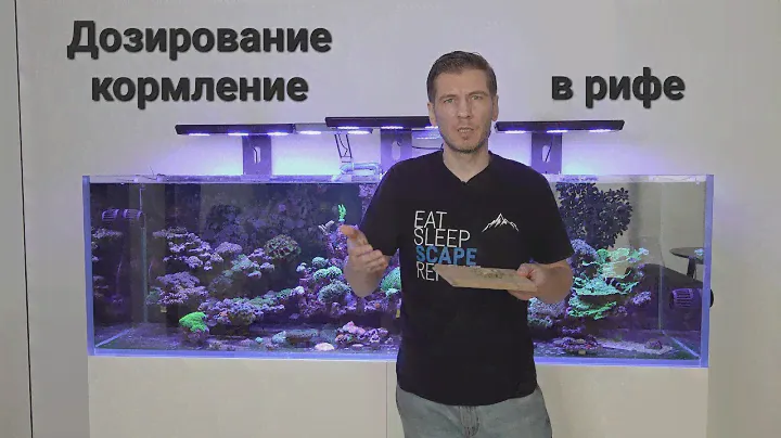 Дозирование и кормление в рифе