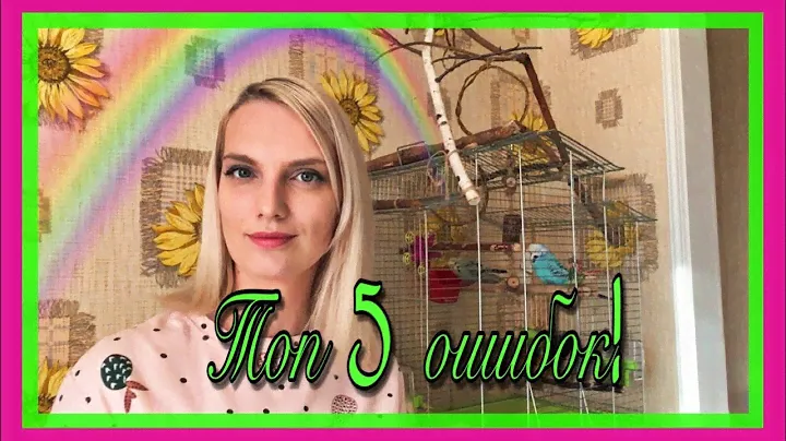 ТОП 5 ОШИБОК В СОДЕРЖАНИИ ПОПУГАЯ!