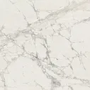 Rex Prexious Mountain Treasure Matte 80x80