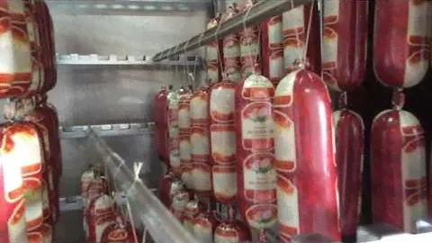 Термокамера для горячего и холодного копчения мясных продуктов