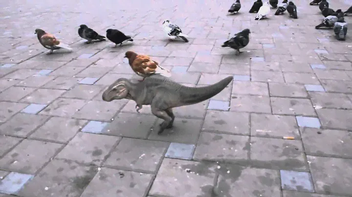 camera tracking 3d T-Rex. Тиранозавр Рекс