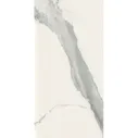Rex Ceramiche (Италия) I Classici I CLASSICI STATUARIO GLOSSY 60X120 RET