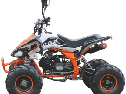 Квадроцикл Motax ATV T-Rex LUX 125 в Новосибирске-3