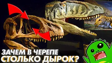 🦖Почему ЧЕРЕП ДИНОЗАВРА похож на решето???