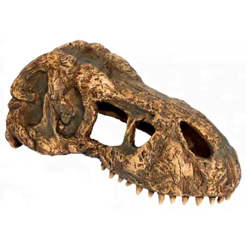 Skull - T-Rex - Mini (Exo Terra)-0