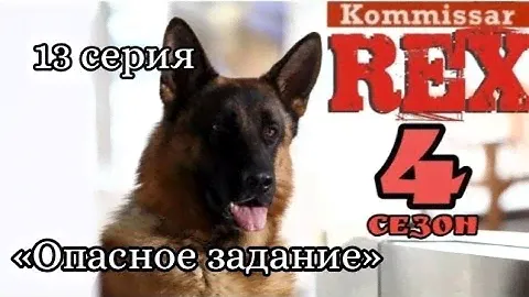 Комиссар Рекс, 4 сезон, 13 серия «Опасное задание»