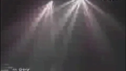 Martin T-Rex
