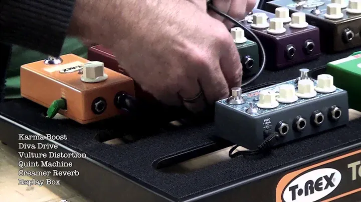 Building a T Rex pedal board
