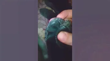 Обзор на Лыжные перчатки