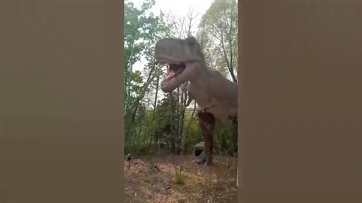 Rex