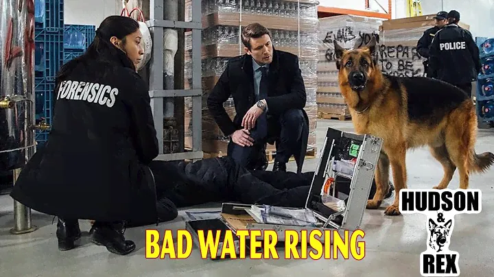 Hudson and Rex New 2024 🦮🦮 Bad Water Rising 🦮🦮 Best American Police Procedural Drama