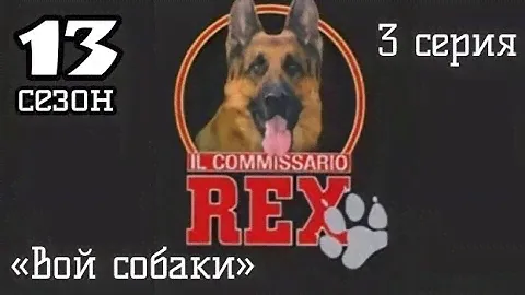 Комиссар Рекс, 13 сезон, 3 серия «Вой собаки»