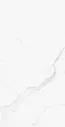 I Classici di REX Statuario Soft 60x120