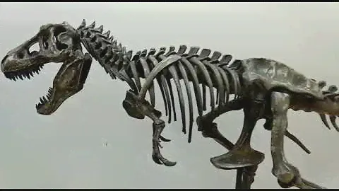 3D печать скелета динозавра T-Rex