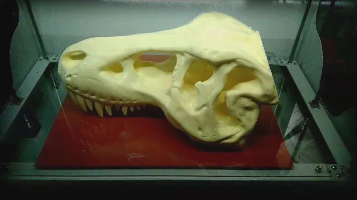 Tyrannosaurus Rex scull 450 mm 3D print by NEPHILA 3D Printer Тиранозавр 3D печать черепа на NEPHILA