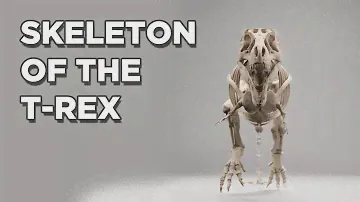 The Fascinating Anatomy of the T-Rex Skeleton