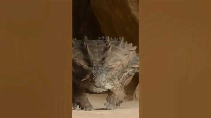 #jurassicpark #jurassicworld #динозавры #prehistoricplanet #prehistoricplanet2 #dino #доисторическая